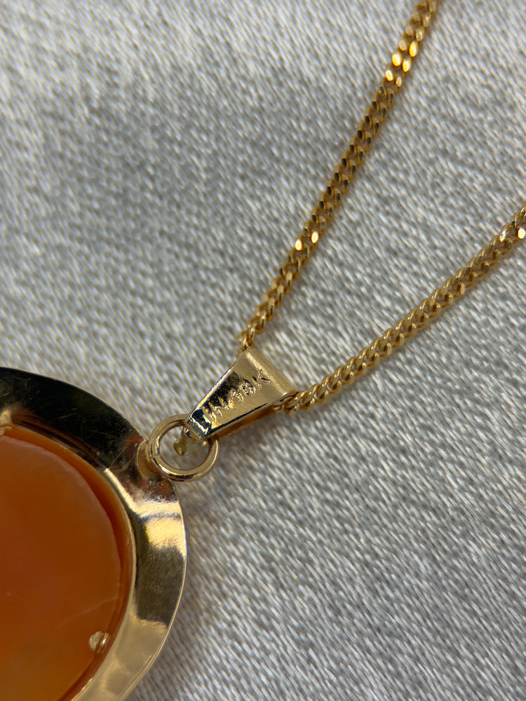 18K Skalcamé set – Hänge & örhängen, damporträtt