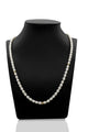Freshwater Cultured Pearl Necklace with 14K Gold Beads
